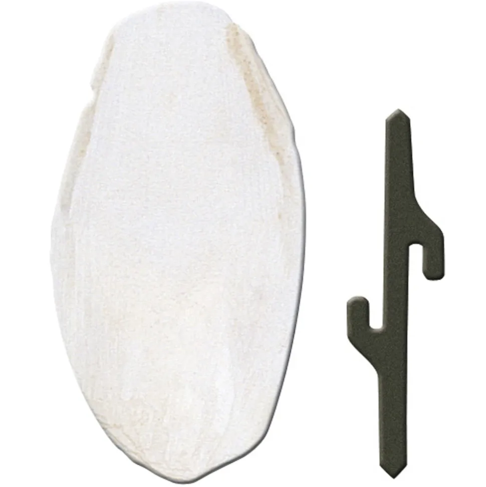 Accessoires pour cages à oiseaux ferplast os de seiche fpi 4330 canaris