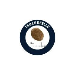 ADVANCE - Advance diet croquettes chat urinary low calories 2,5 kg