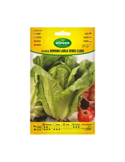 AGREEN - Graines laitue roma verte longue 000440bolsh agreen - agreen
