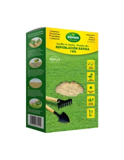 AGREEN - Semence de gazon à pousse rapide 1kg - agreen