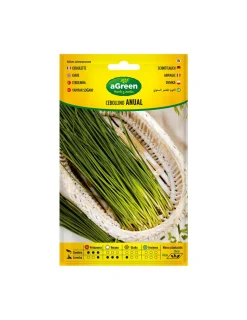 AGREEN - Sur graines de ciboulette annuelle 000239bolsh daccord - agreen