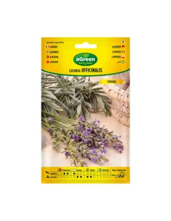 AGREEN - Sur graines de lavande officinalis 301031bolsh daccord - agreen