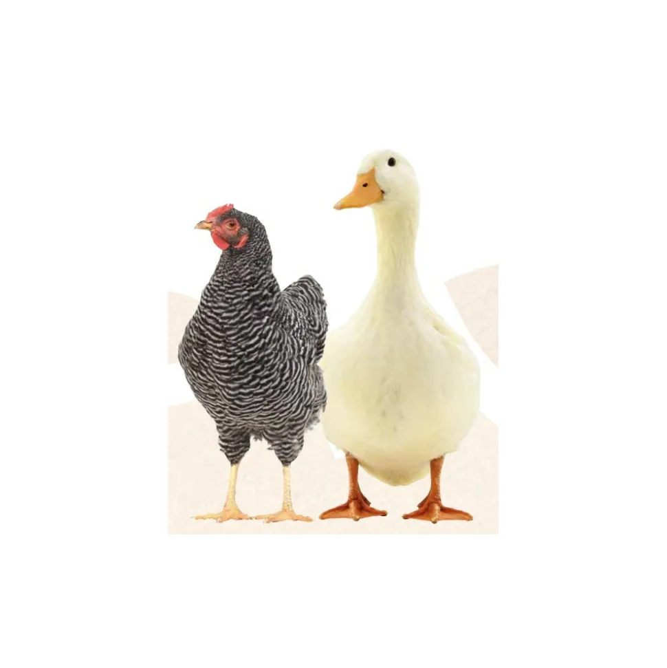 ANIMALLPARADISE - Natur' vers, contre les vers pour poules et canards 250 ml