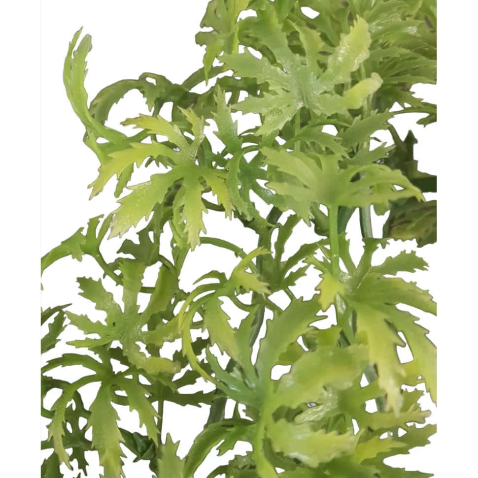 ANIMALLPARADISE - Plante décorative en plastiques imitation canna... De jamaïque d'environ 56