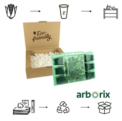 ARBORIX - 6 x gaura lindheimeri 'cherry brandy' – godet 9cm x 9cm – fleurs rose fuchsia éclatantes