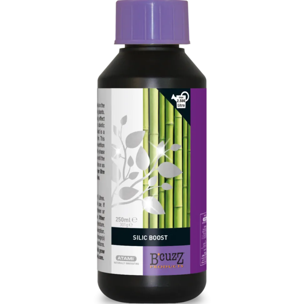 ATAMI - Silic boost 250ml