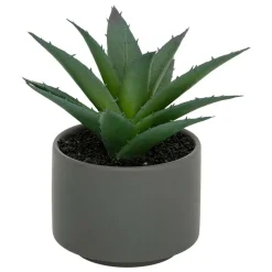 ATMOSPHERA CREATEUR D'INTERIEUR - Plante grasse en pot h13
