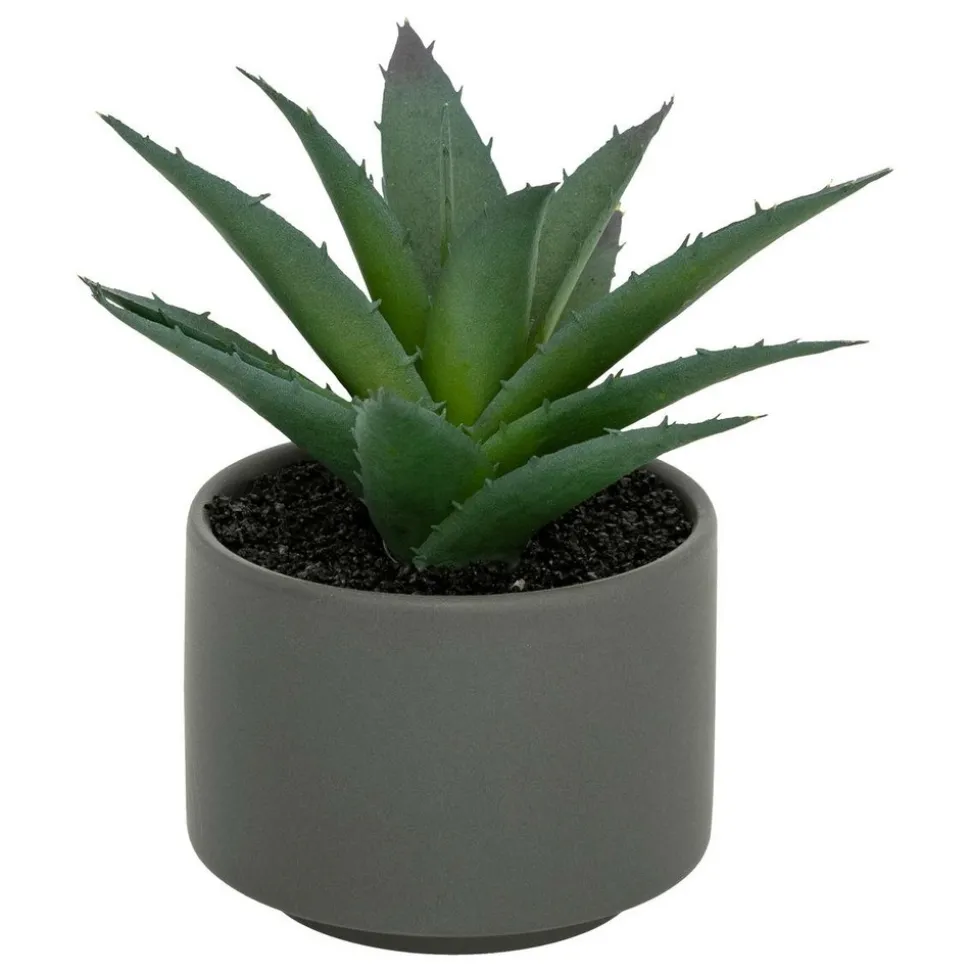 ATMOSPHERA CREATEUR D'INTERIEUR - Plante grasse en pot h13