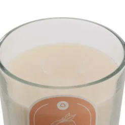 ATMOSPHERA CREATEUR D'INTERIEUR - Bougie parfumée " floa" pêche 350g