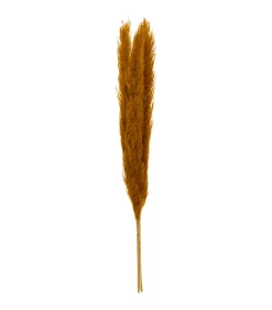 ATMOSPHERA - Set de 3 branches de pampa séchée ocre h 109 cm