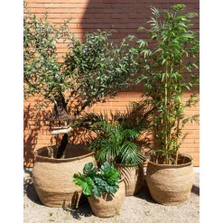 AUBRY GASPARD - Maxi cache-pots en jonc