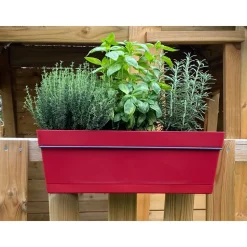 CHAPELU FRÈRES - Kit jardinière CocoriPot Jade 50cm + Plateau clipsé + Support Rubis