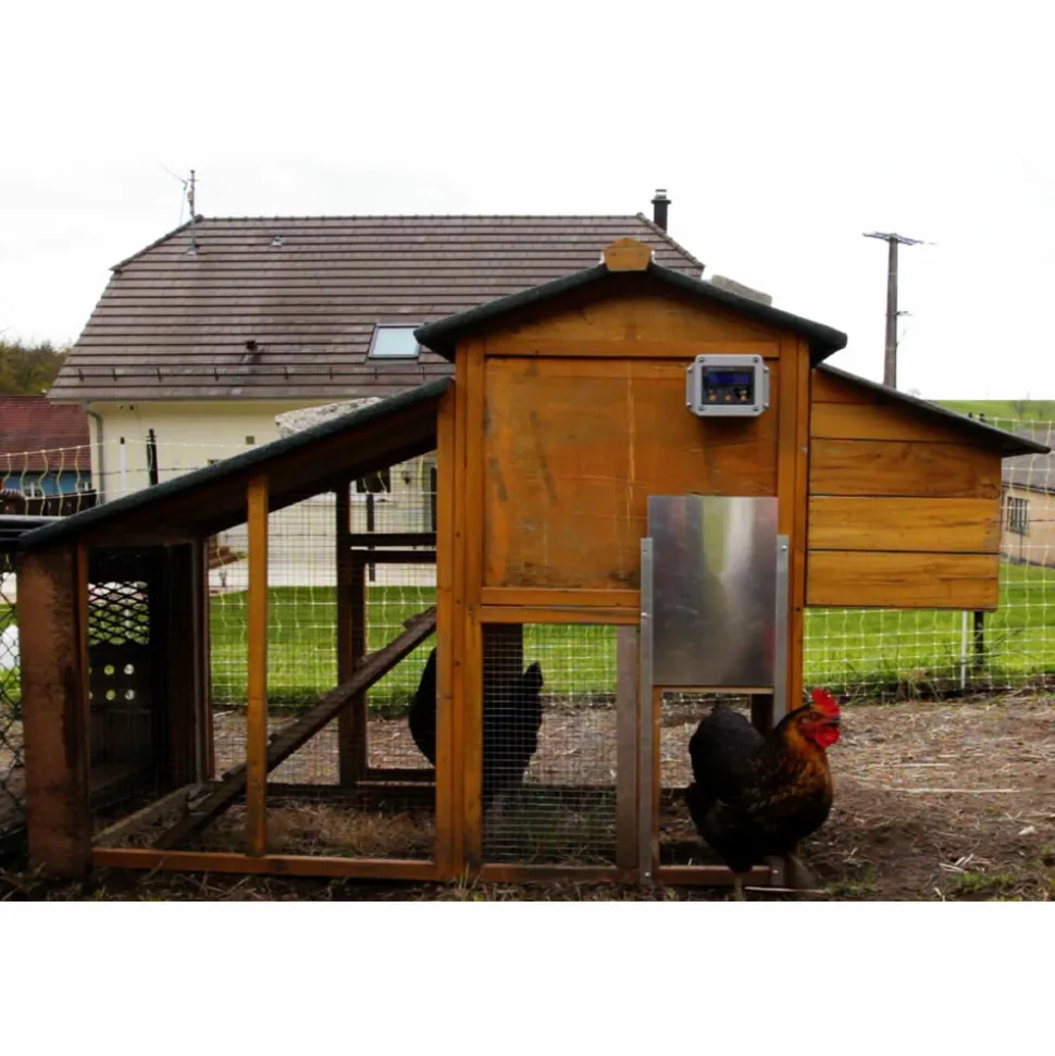 CHICK'A - Portier premium pour poulailler