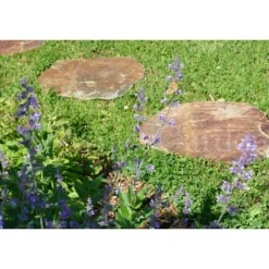 CLASSGARDEN - Pas japonais corten irrégulier - pack de 18 pièces
