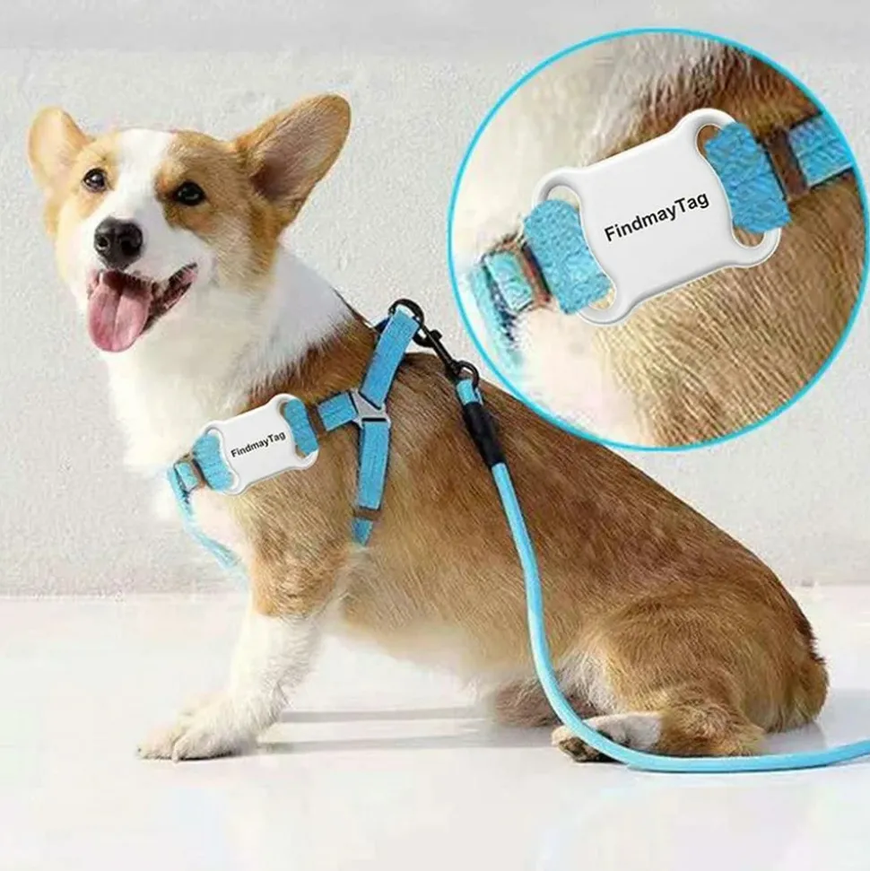 Collier de suivi gps intelligent et étanche pour chats et chiens