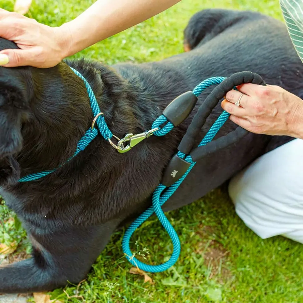 Collier semi-étranglé pour chiens sport extreme cs13/60, longe en nylon robuste, ajustable, azur-bleu