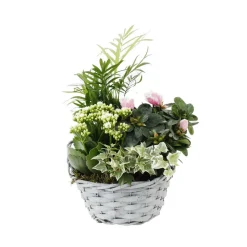 Composition Panier Fleuri : 4 plantes- Coloris variables (N2).