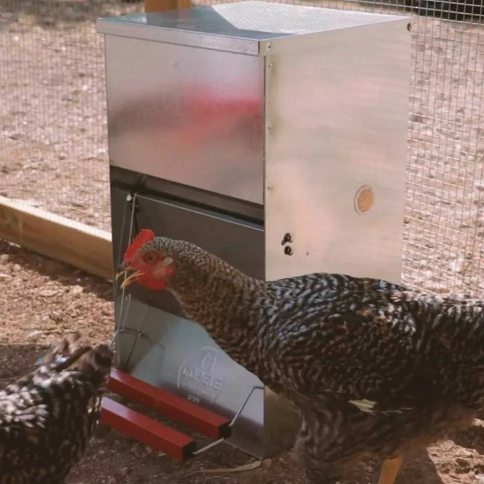 COPELE - Mangeoire anti-nuisibles 30 kg pour 15 poules
