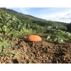 Céramique d'irrigation Ollas Jamet Mini-Serre - 0.8L