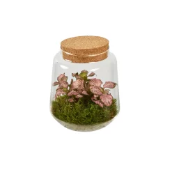 CREATION TRUFFAUT - Composition 2 plantes avec pot décoratif : D.11,5xH.22cm