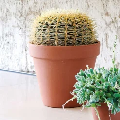 DEROMA - Pot Horticole en terre cuite Ø 31,5 x H. 27,6cm
