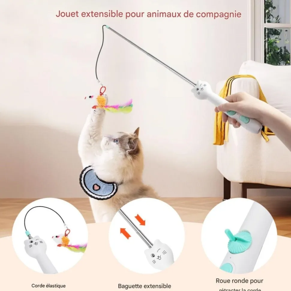 DOWNYPAWS - Baguette rétractable pour chat avec laser
