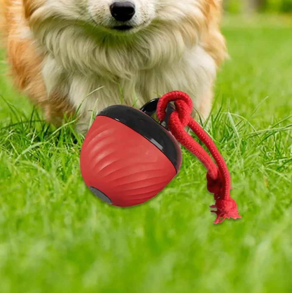DOWNYPAWS - Balle interactive pour chien