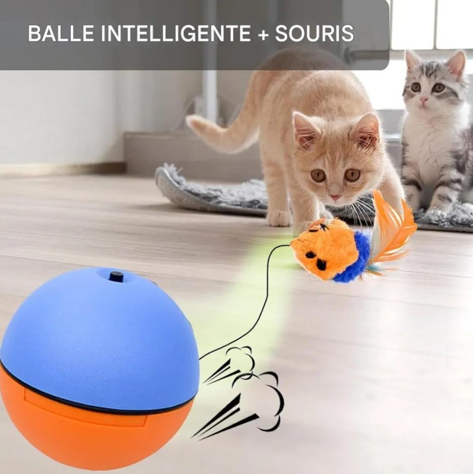 DOWNYPAWS - Balle pour chats jouets interactifs, électrique avec cordon