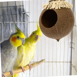 DOWNYPAWS - Boîte d'oiseau en coque de noix de coco pour la reproduction et la décoration type de cordon