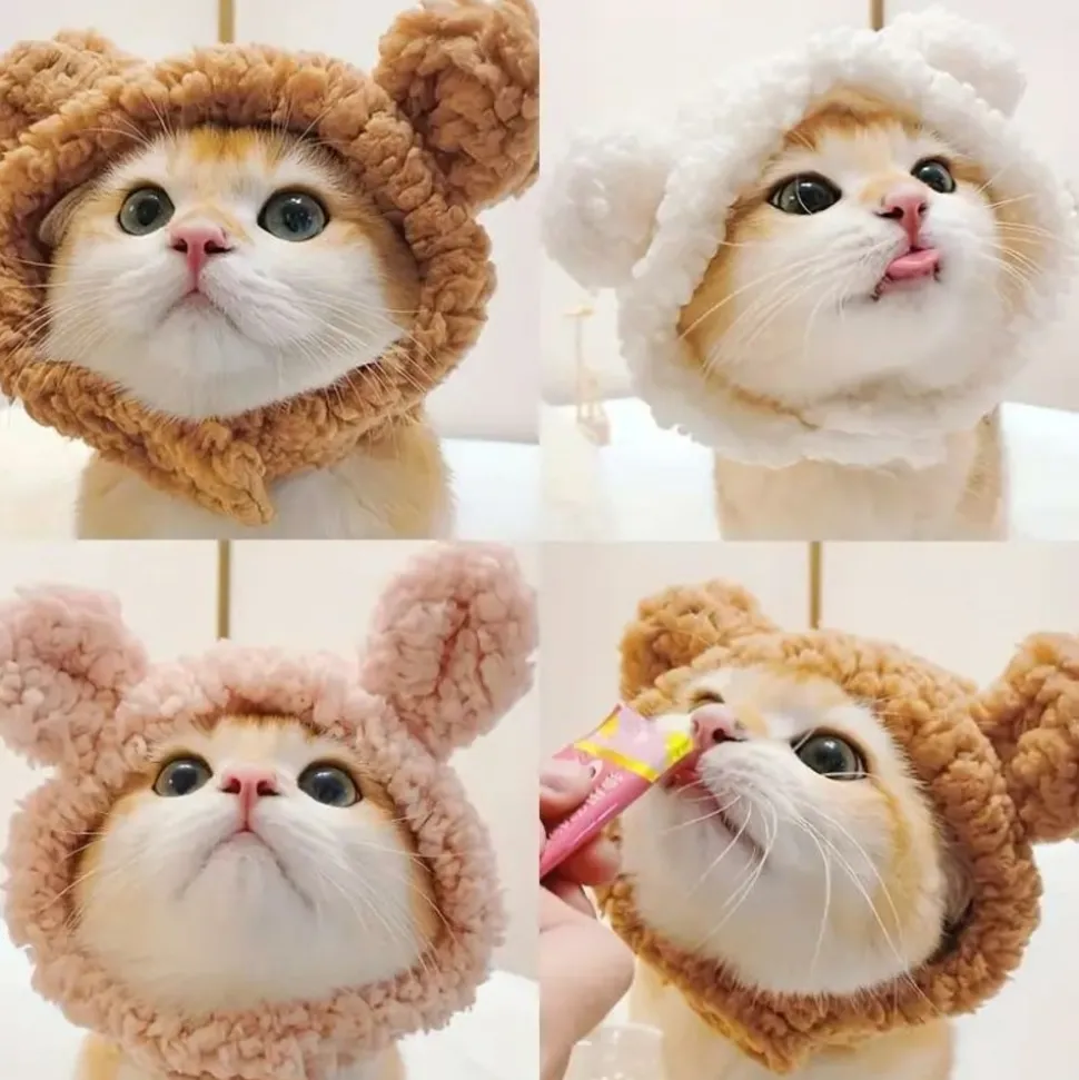 DOWNYPAWS - Chapeau ours pour animaux de compagnie, col règlable