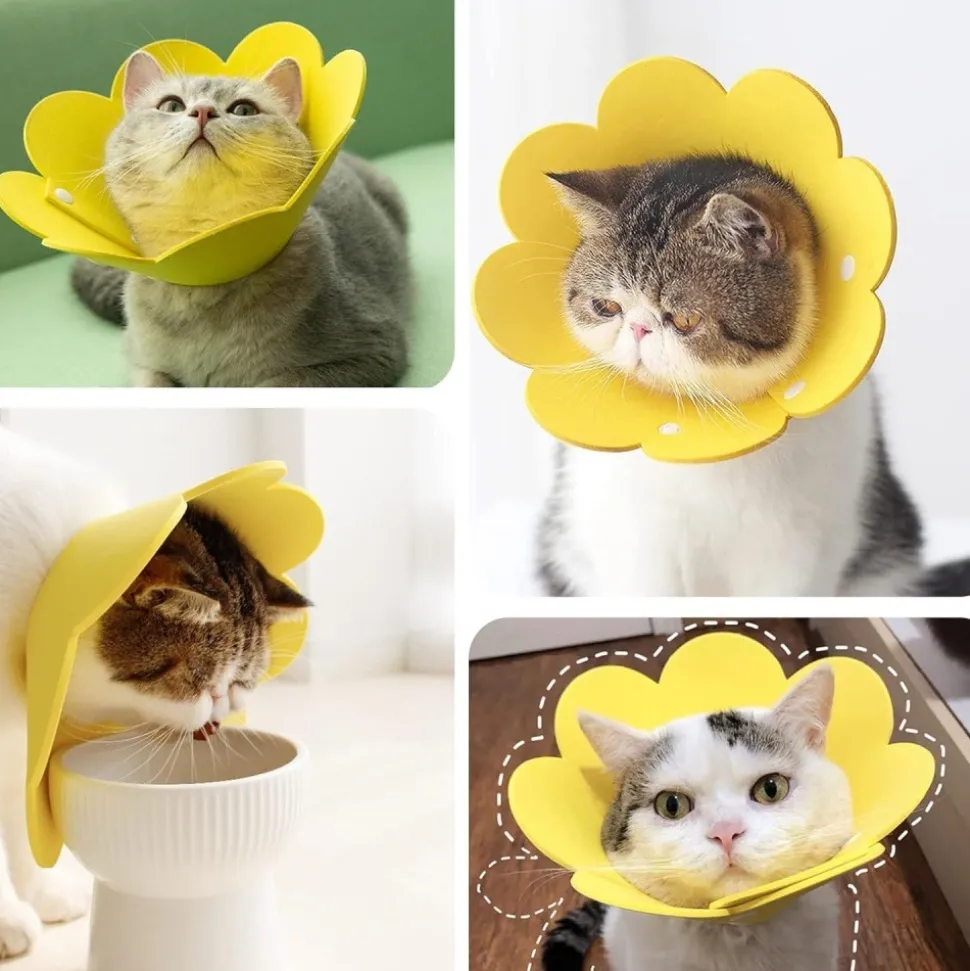 DOWNYPAWS - Collerette élisabéthain chat chien 2 pièces ajustable