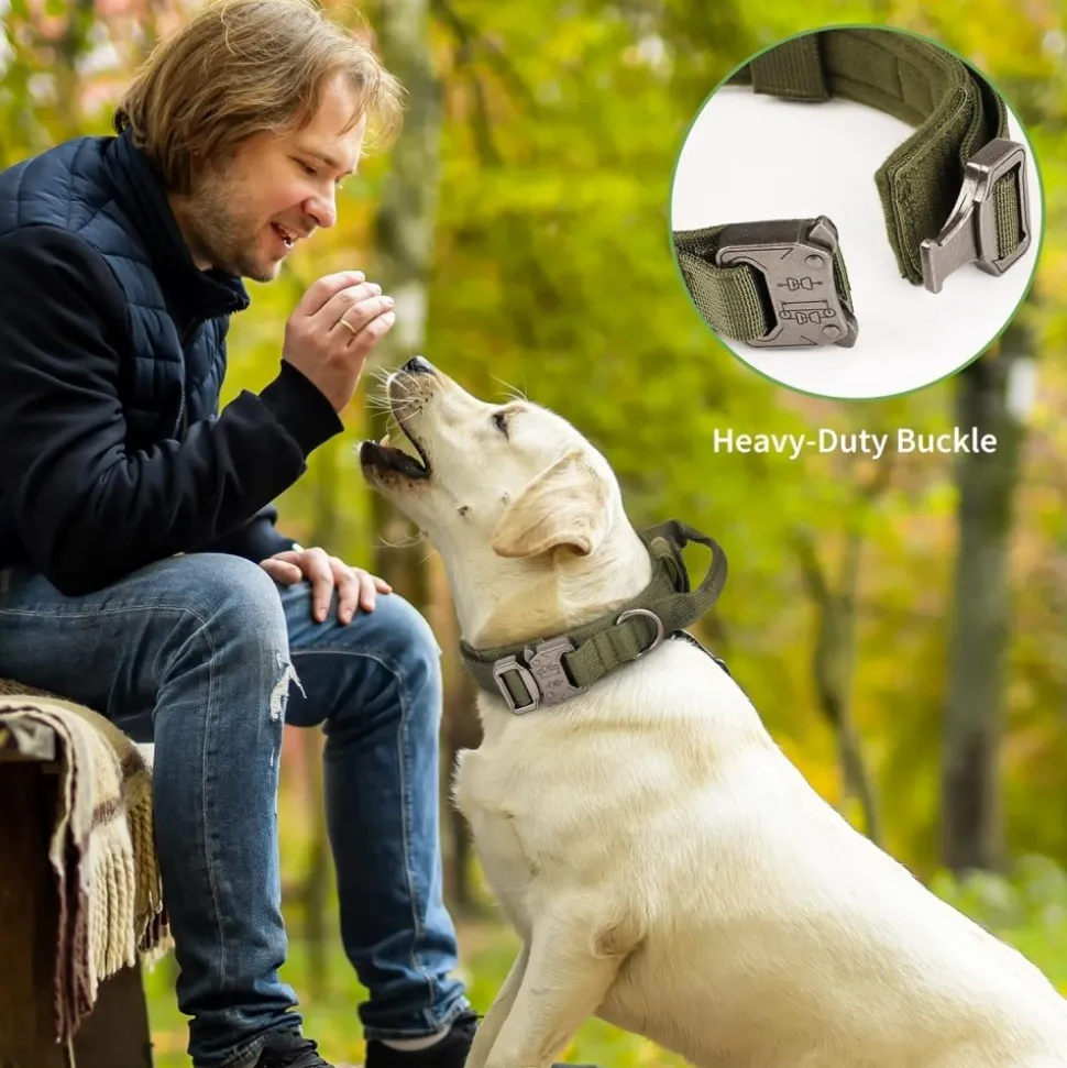 DOWNYPAWS - Collier de chien tactiqu