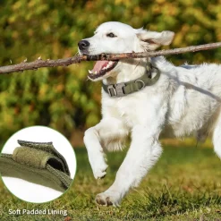 DOWNYPAWS - Collier de chien tactiqu