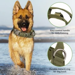 DOWNYPAWS - Collier de chien tactiqu
