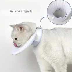 DOWNYPAWS - Collier de convalescence pour chat