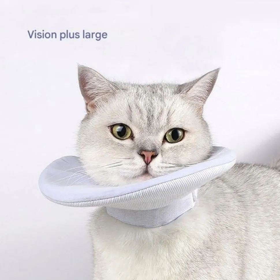 DOWNYPAWS - Collier de convalescence pour chat