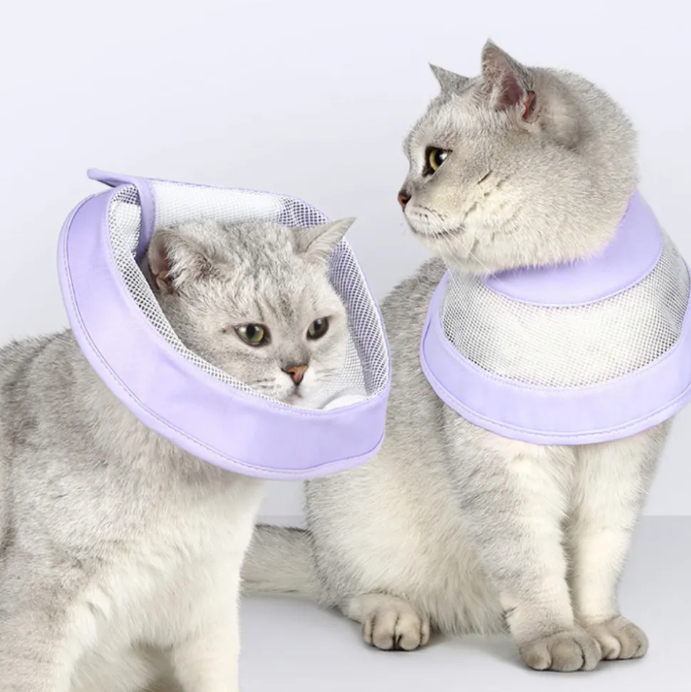 DOWNYPAWS - Collier pour chat roland violet
