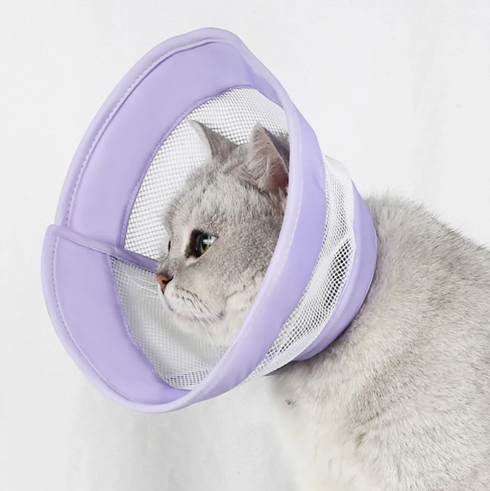 DOWNYPAWS - Collier pour chat roland violet