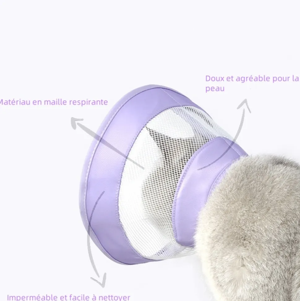 DOWNYPAWS - Collier pour chat roland violet