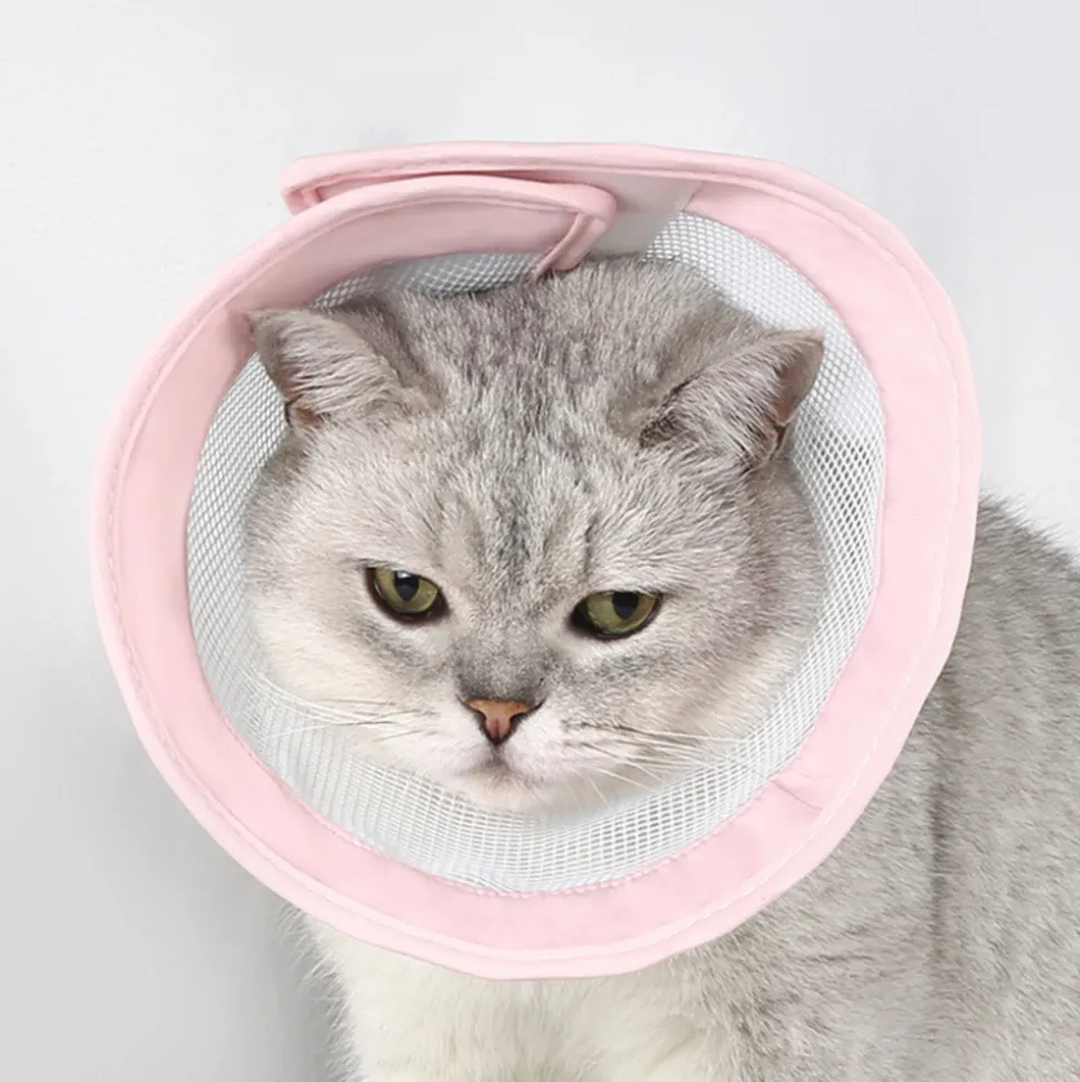 DOWNYPAWS - Collier pour chat sakura rose