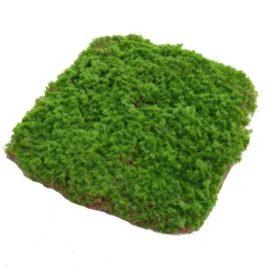 DOWNYPAWS - Feuille de mousse artificielle en peluche 30×30 cm