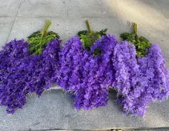 DOWNYPAWS - Fleurs de glycine artificielles, 12 tiges blanches