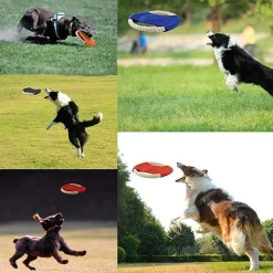 DOWNYPAWS - Frisbees pour chiens
