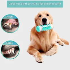 DOWNYPAWS - Jouet à mâcherbrosse pour chien