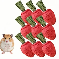 DOWNYPAWS - Jouets à mâcher - lot de 9 en forme de fraise