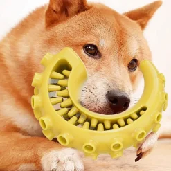 DOWNYPAWS - Jouets pour le nettoyage