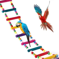 DOWNYPAWS - Jouets pour oiseaux