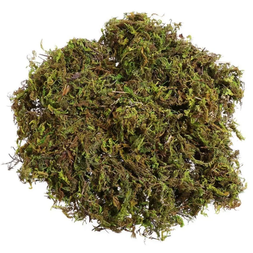 DOWNYPAWS - Mousse sèche naturelle de qualité supérieure 500g