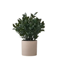 DOWNYPAWS - Plantes vertes artificielles en pot fleurs artificielles feuilles de lys gris