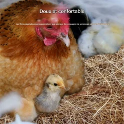 DOWNYPAWS - Tapis de nid pour poules, en fibres de noix de coco, chauffant 5 pièces